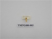 藏品(後褐斑苔蛾)的圖片